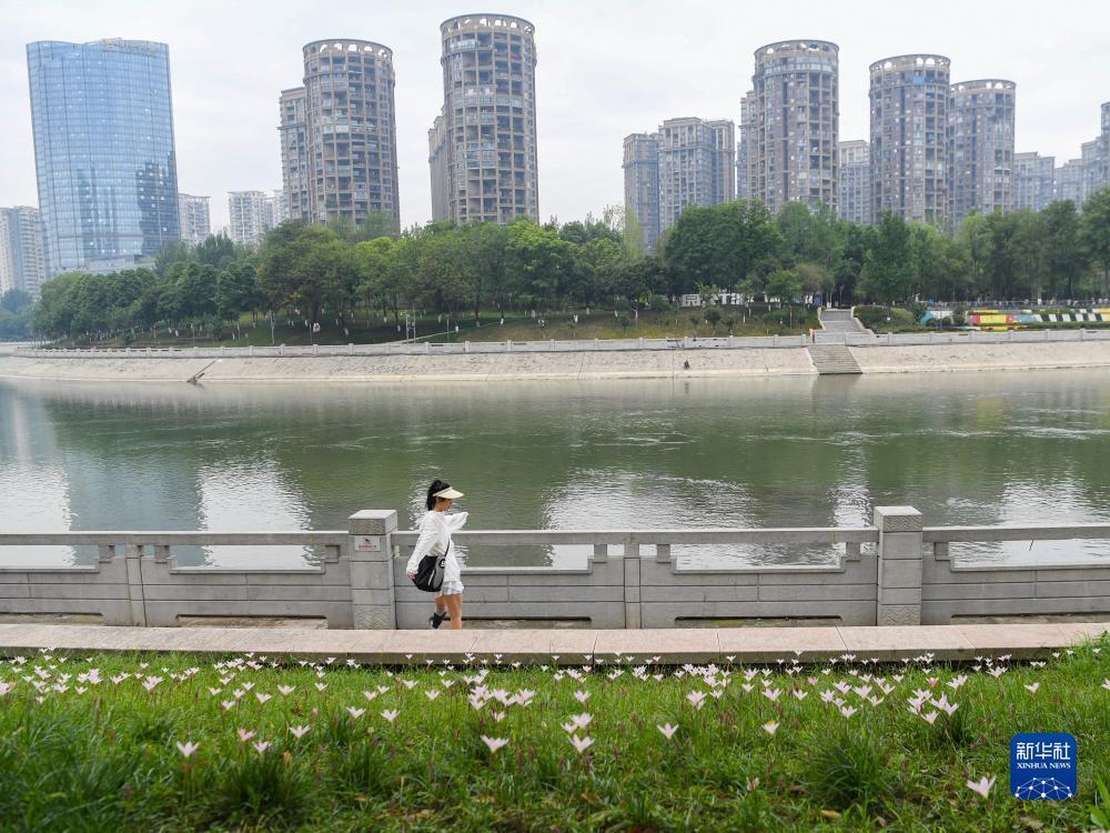 大丰收充值中心